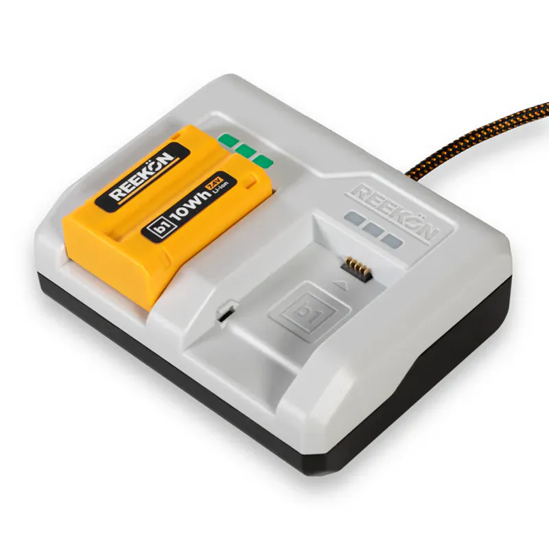 B1 Dock Dobbel batterilader
